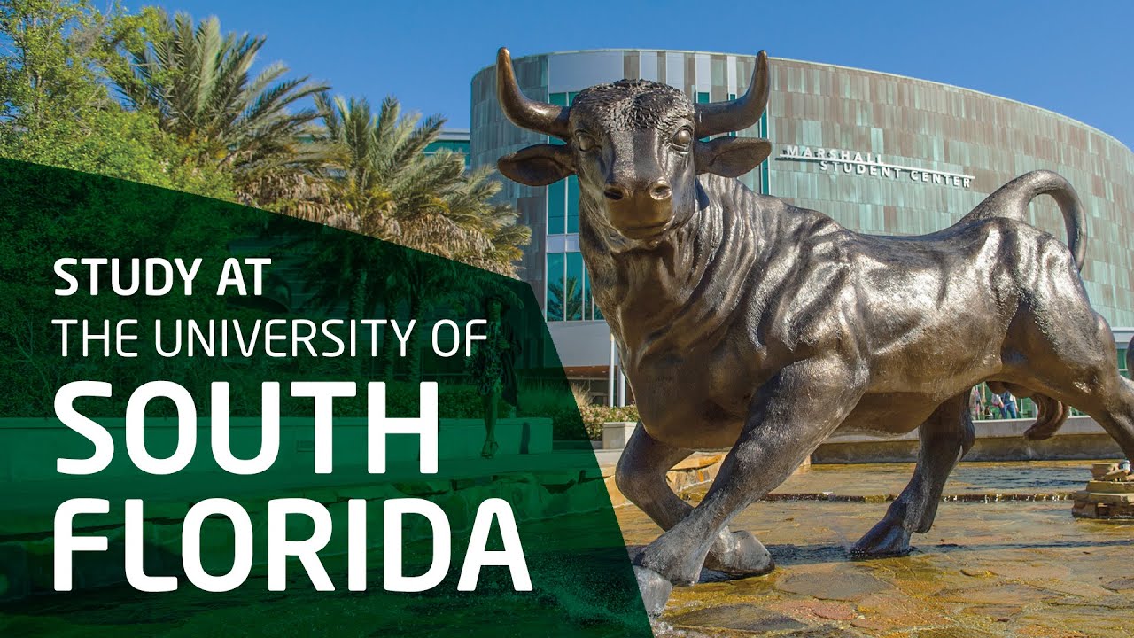 university of south florida computer science phd